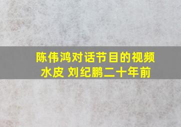 陈伟鸿对话节目的视频 水皮 刘纪鹏二十年前